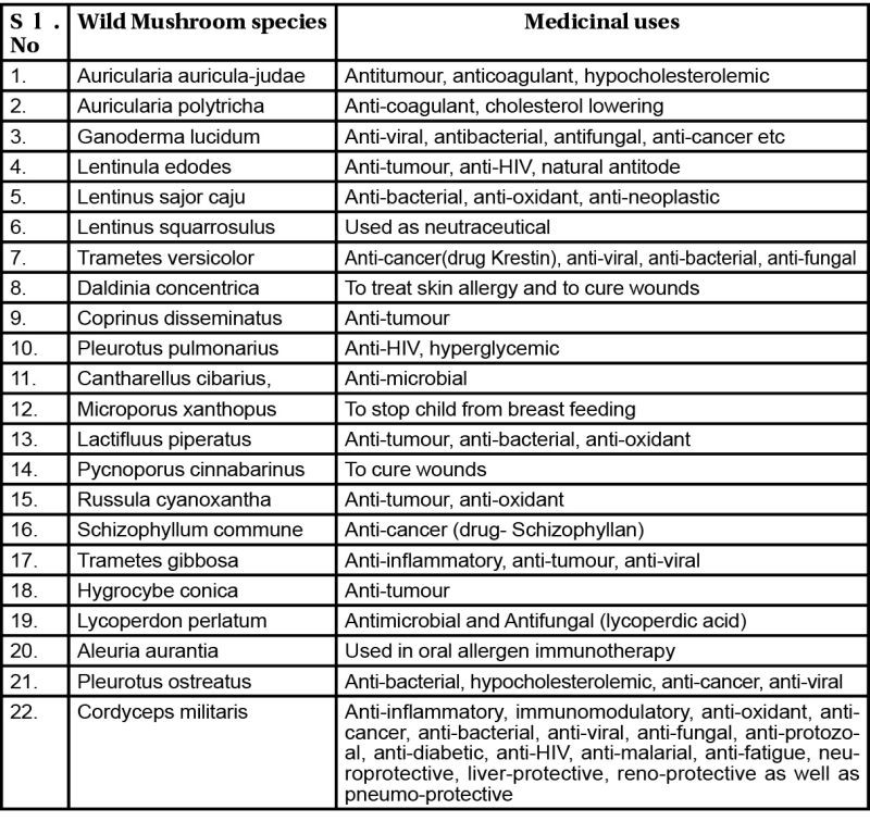 Table: Medicinal properties of some mushrooms collected from Nagaland